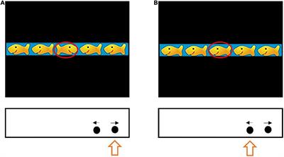 Relationship Between Gross Motor Skills and Inhibitory Control in Preschool Children: A Pilot Study